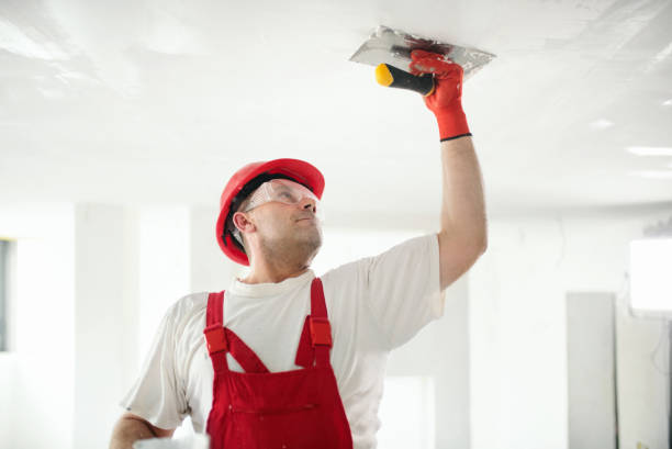 Reliable Bret Harte, CA Dry wall and painting Solutions